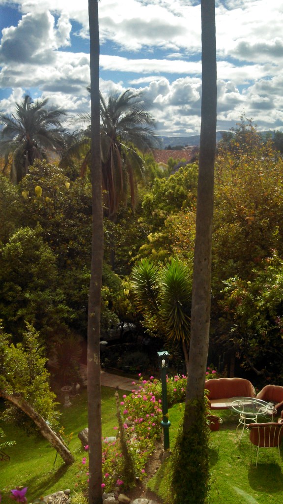 IMG_20121228_153436_650[1]