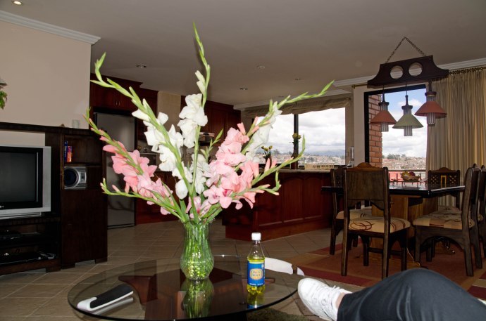 Flowers inside our apartment.  Notice the view outside the windows.