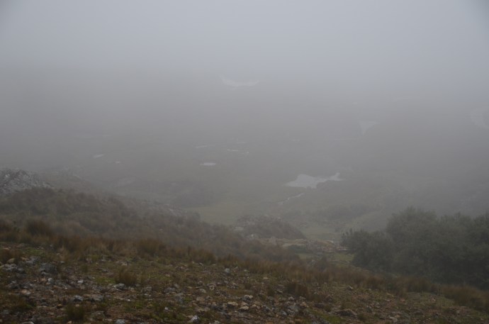 The foggy, misty view from the Tres Cruces outlook site.  And it was cold, too.