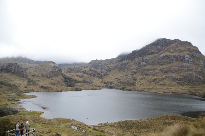 Toreadora Lake, Cajas National Park, Ecuador