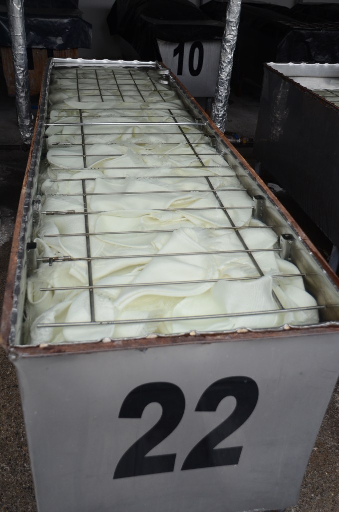 Hats soaking in the dye tanks. We don't think dye has been added, although these hats could be being bleached for a pure white color.