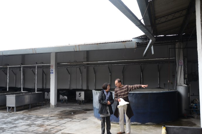 Rain water is collected in the large tank and reused in the dyeing process