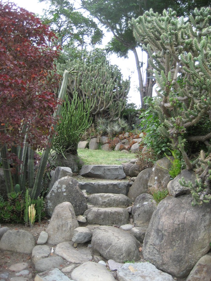 A stone stairway in the gardens at Pumapungo