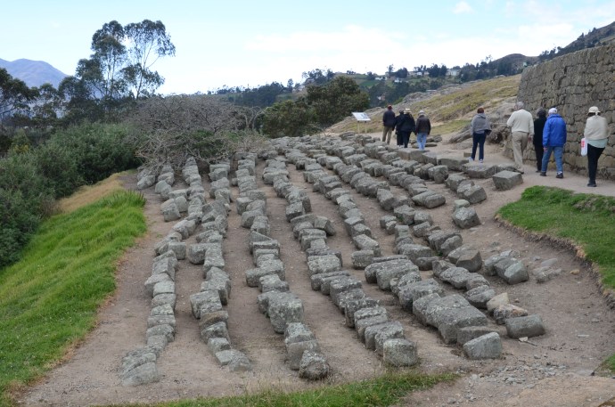 Carved stones that were once part of the Ingapirca buildings