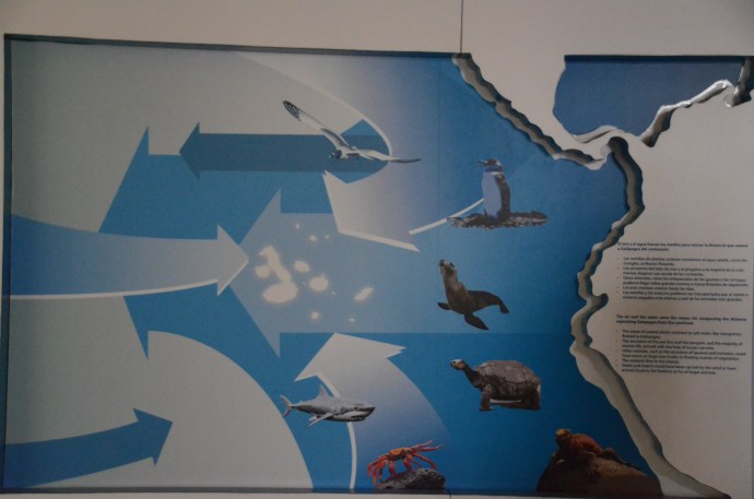 A sign explaining how the ocean and wind currents enabled animals to arrive on the islands.