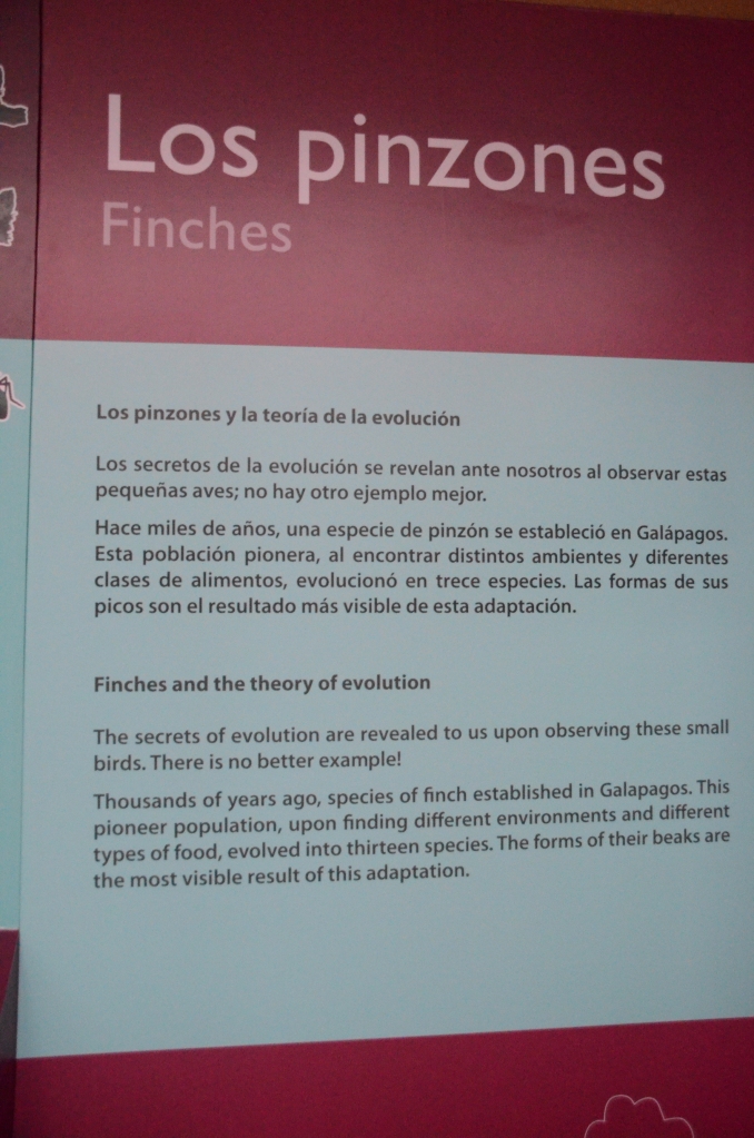 A sign at the Interpretive Center explaining finch adaptations on the Galapagos Islands