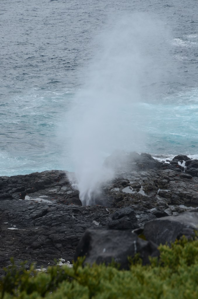 A blow hole in full eruption on Española Island
