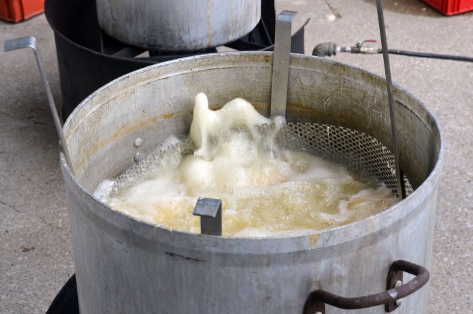 Bubble, bubble, toil and fish-el